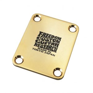 sns_pa_tone_shift_plate_gold